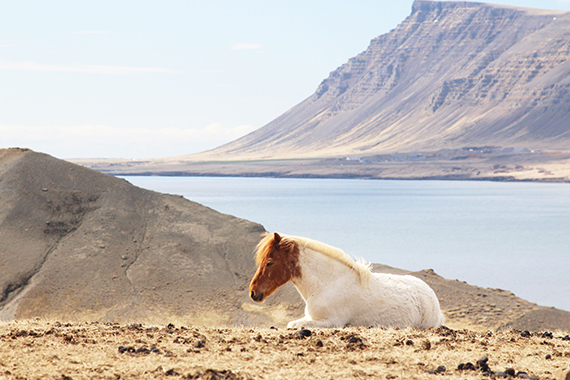 Horse Mountain